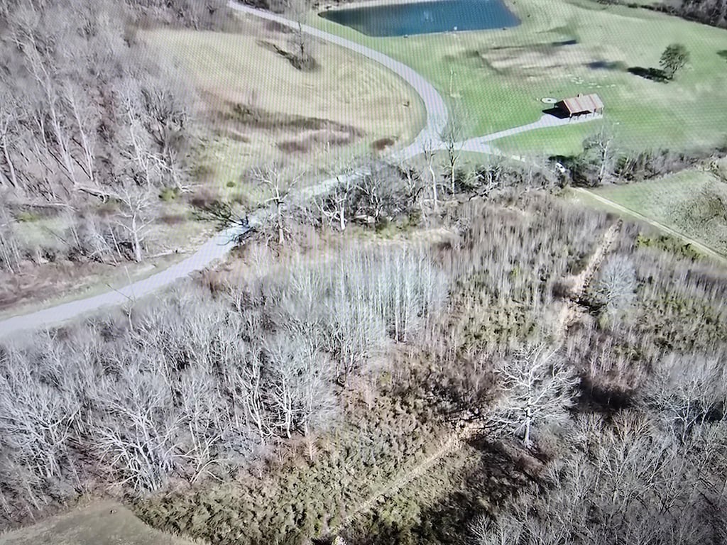 0 Buck Ct, Waverly, TN 37185 - photo 2