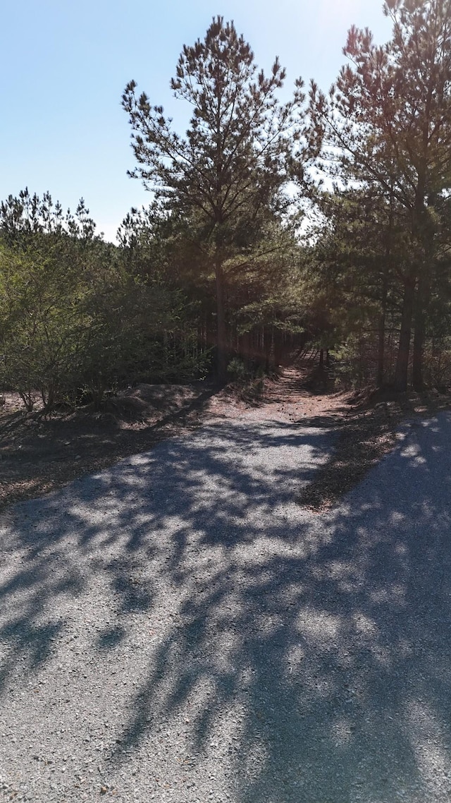 2530 Mcgee Rd, Linden, TN 37096