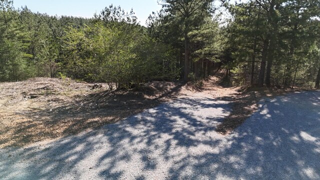 2530 Mcgee Rd, Linden, TN 37096