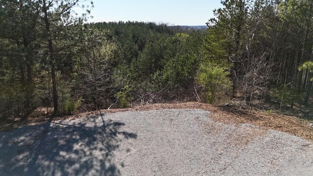 2530 Mcgee Rd, Linden, TN 37096