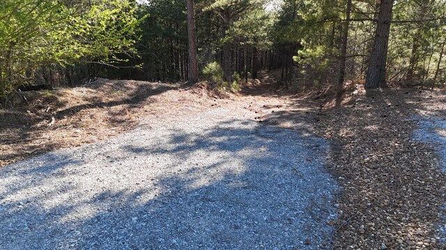 2530 Mcgee Rd, Linden, TN 37096