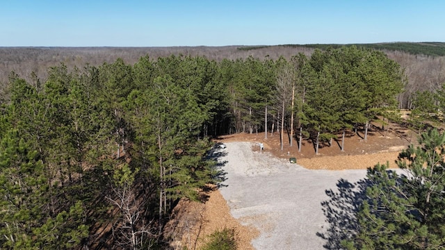 2530 Mcgee Rd, Linden, TN 37096