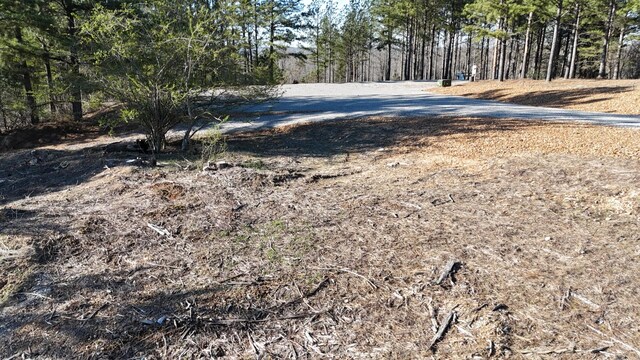 2530 Mcgee Rd, Linden, TN 37096