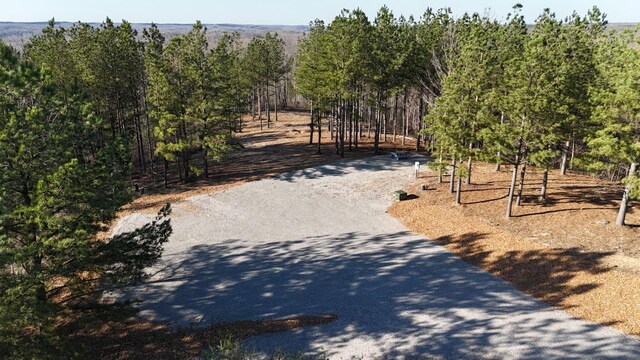 2530 Mcgee Rd, Linden, TN 37096