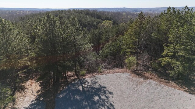 2530 Mcgee Rd, Linden, TN 37096