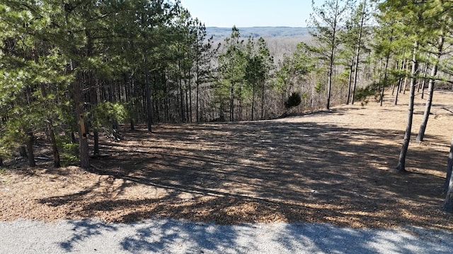 2530 Mcgee Rd, Linden, TN 37096