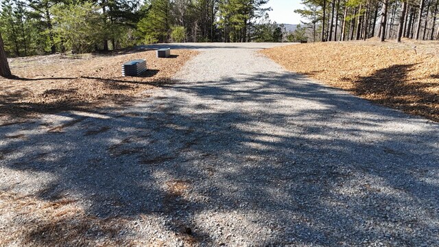 2530 Mcgee Rd, Linden, TN 37096