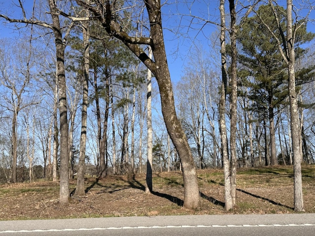 0 Arrowhead S, Mcminnville, TN 37110 - photo 12