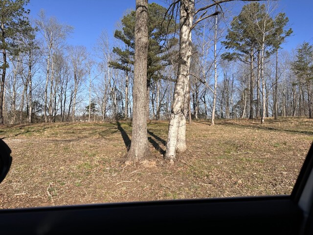 0 Arrowhead S, Mcminnville, TN 37110 - photo 13