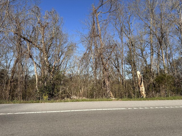 0 Arrowhead S, Mcminnville, TN 37110 - photo 11
