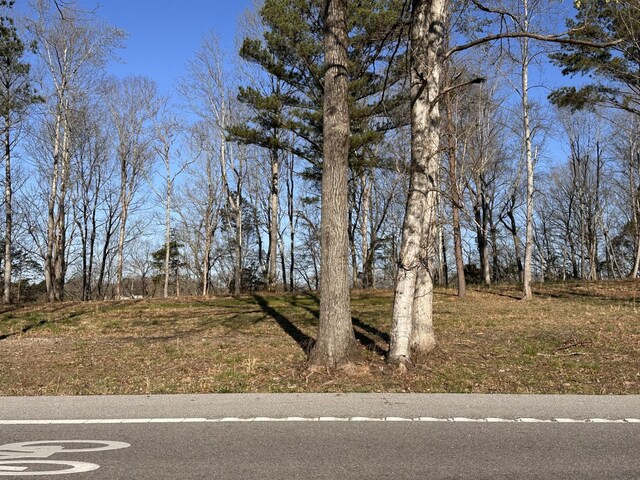 0 Arrowhead S, Mcminnville, TN 37110 - photo 10