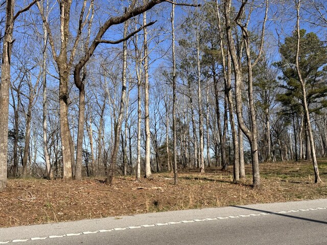 0 Arrowhead S, Mcminnville, TN 37110 - photo 9