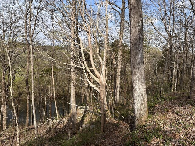 0 Arrowhead S, Mcminnville, TN 37110 - photo 4
