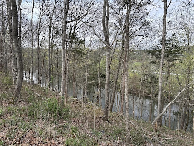 0 Arrowhead S, Mcminnville, TN 37110 - photo 1
