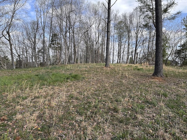 0 Arrowhead S, Mcminnville, TN 37110 - photo 6