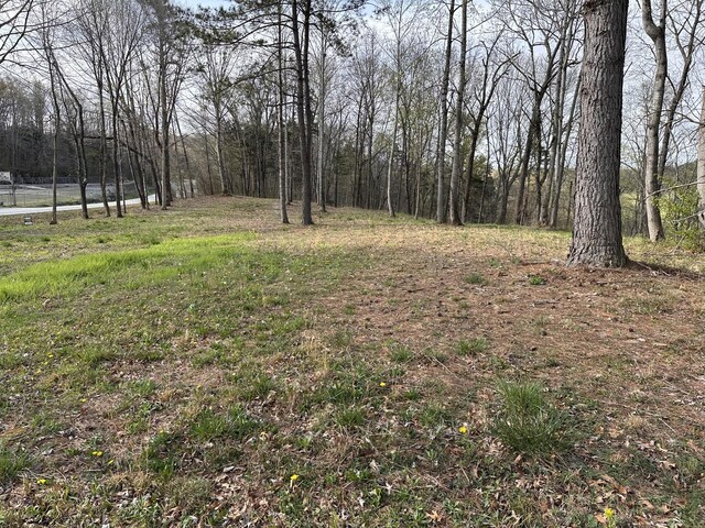 0 Arrowhead S, Mcminnville, TN 37110 - photo 7