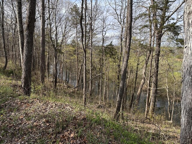 0 Arrowhead S, Mcminnville, TN 37110 - photo 3