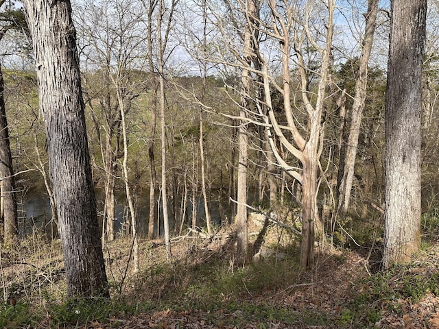0 Arrowhead S, Mcminnville, TN 37110 - photo 2