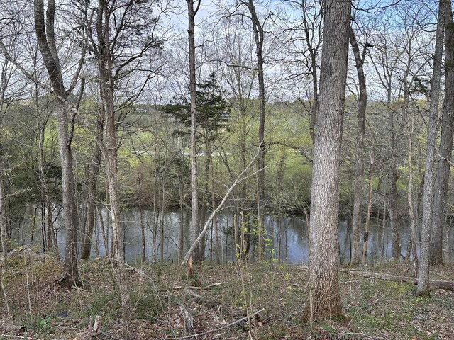 0 Arrowhead S, Mcminnville, TN 37110 - photo 5