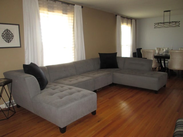 living area with wood finished floors