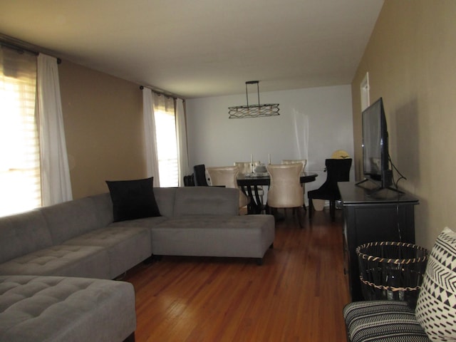 living area featuring wood finished floors