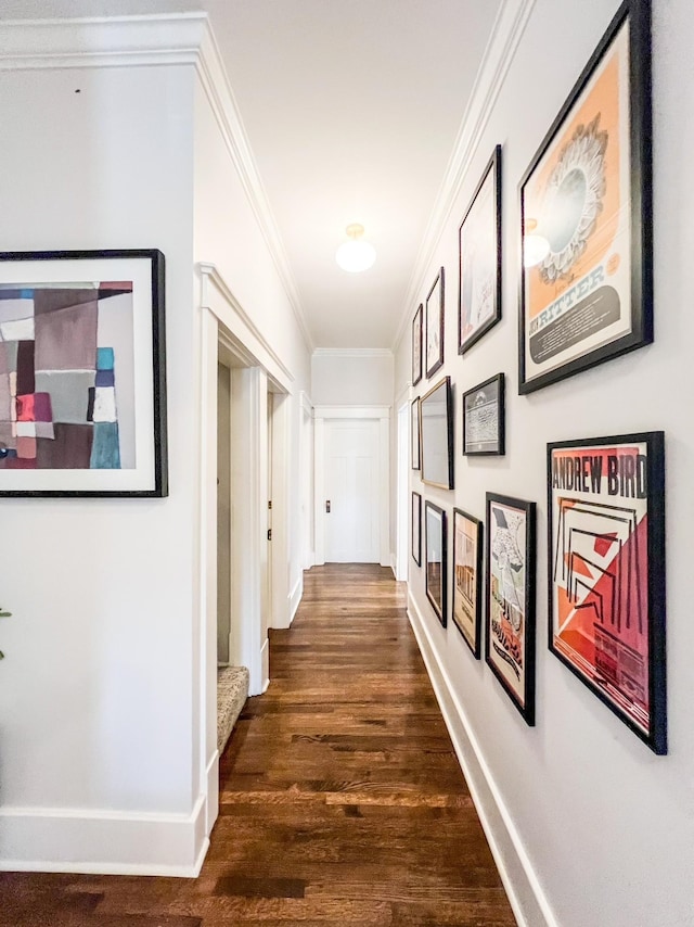 336 Chesterfield Ave, Nashville, TN 37212 - corridor featuring baseboards, dark wood-style floors, and crown molding