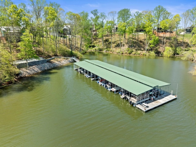 view of dock featuring a water view