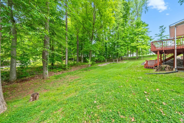 815 Shady Bluff Trl, Clarksville, TN 37043 - photo 59
