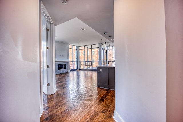 3000 Poston Ave Unit 102, Nashville, TN 37203 - corridor with baseboards, expansive windows, a sink, and dark wood finished floors