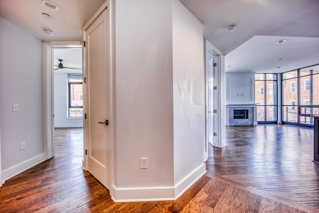 3000 Poston Ave Unit 102, Nashville, TN 37203 - hallway featuring baseboards, expansive windows, and wood finished floors