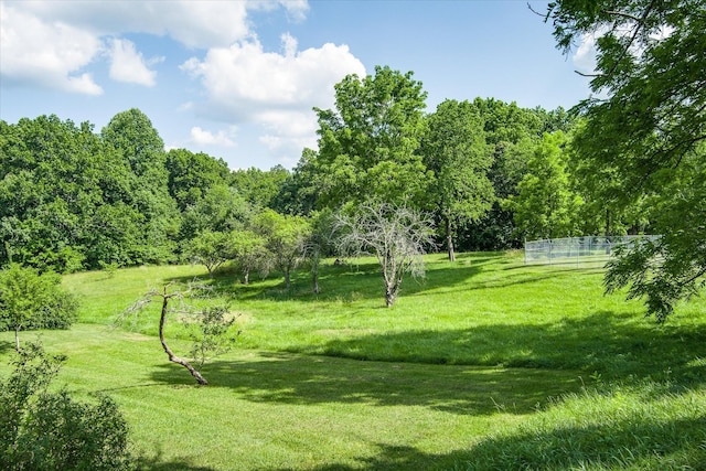 5651 S York Hwy, Grimsley, TN 38565 - view of property's community with a yard