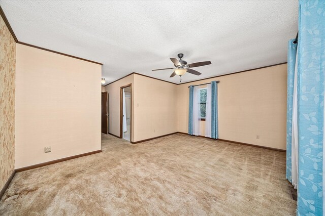 5651 S York Hwy, Grimsley, TN 38565 - unfurnished room featuring a ceiling fan, carpet floors, ornamental molding, and a textured ceiling