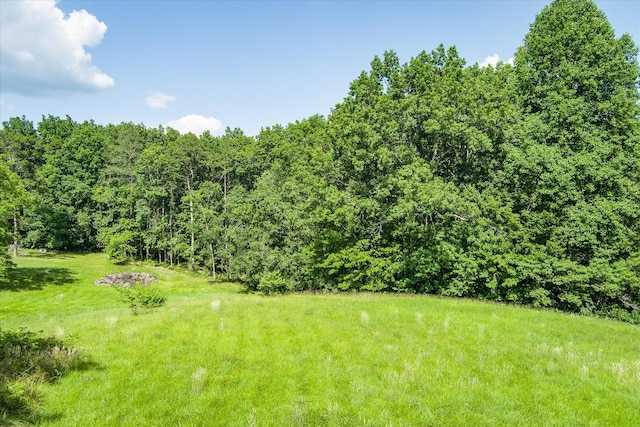 5651 S York Hwy, Grimsley, TN 38565 - view of yard featuring a forest view