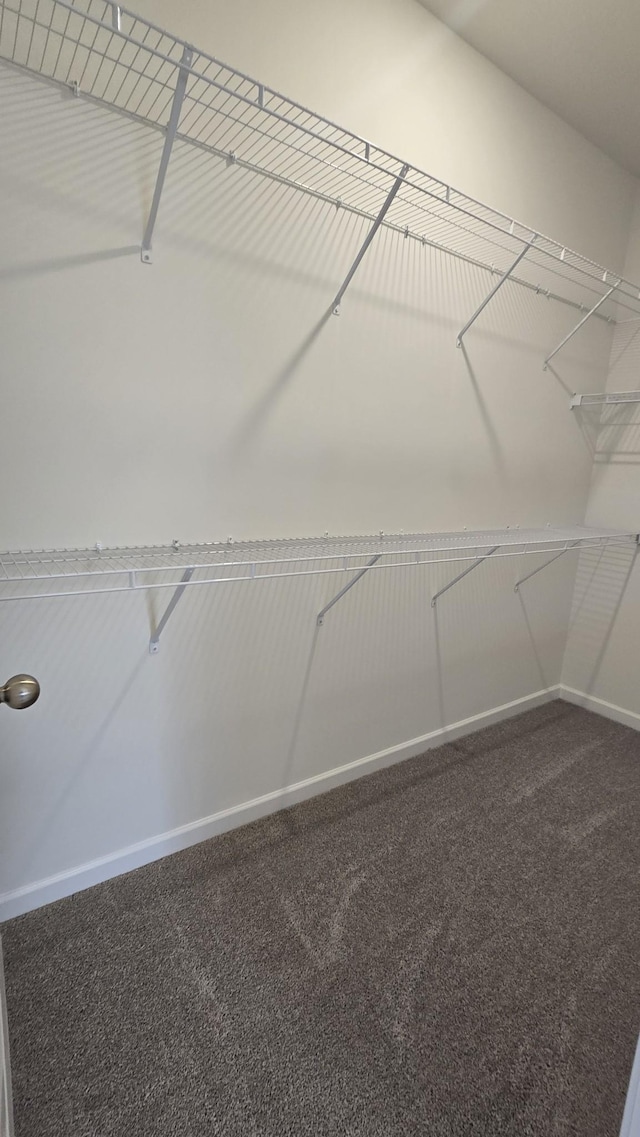 6139 Saxlingham Pl, Smyrna, TN 37167 - spacious closet with carpet