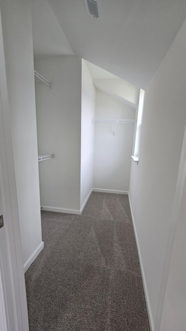 6139 Saxlingham Pl, Smyrna, TN 37167 - spacious closet featuring carpet floors and visible vents