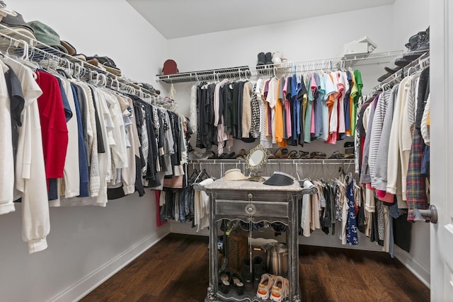 1019 Club View Dr, Gallatin, TN 37066 - spacious closet featuring wood finished floors