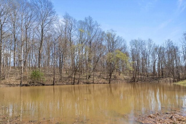 650 Wall Rd, Cunningham, TN 37052 - water view featuring a view of trees