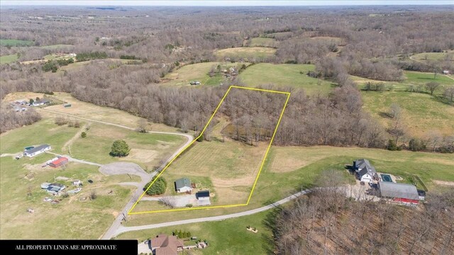 650 Wall Rd, Cunningham, TN 37052 - bird's eye view featuring a rural view