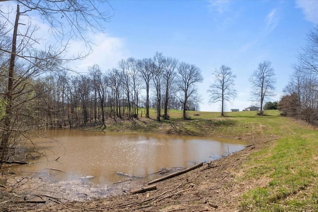 650 Wall Rd, Cunningham, TN 37052 - water view