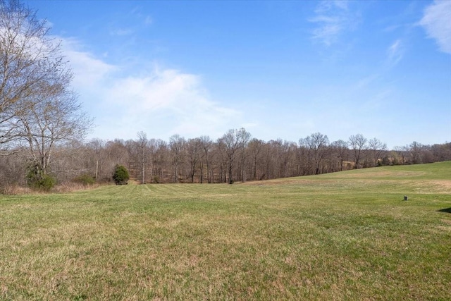 650 Wall Rd, Cunningham, TN 37052 - view of yard with a forest view