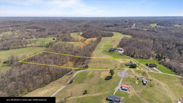 650 Wall Rd, Cunningham, TN 37052 - bird's eye view featuring a rural view