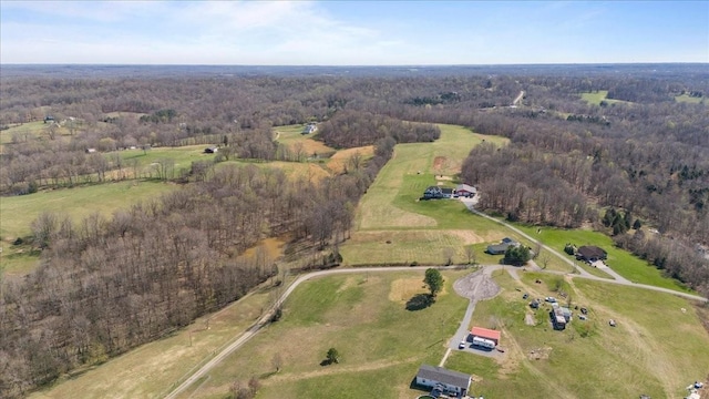 650 Wall Rd, Cunningham, TN 37052 - drone / aerial view