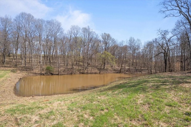 650 Wall Rd, Cunningham, TN 37052 - view of yard featuring a water view and a view of trees