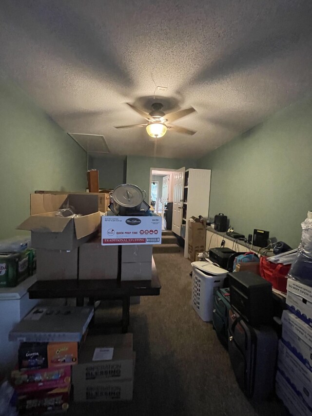 1222 Marla Dr, Clarksville, TN 37042 - carpeted bedroom featuring a textured ceiling, attic access, and ceiling fan