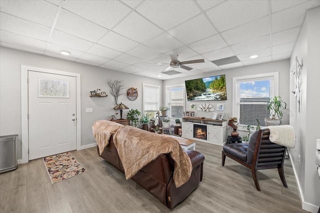 living area featuring baseboards, light wood-style floors, ceiling fan, a warm lit fireplace, and a paneled ceiling