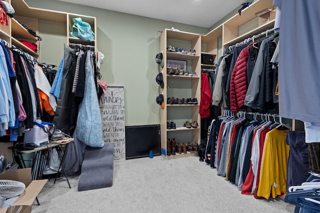 spacious closet with carpet flooring