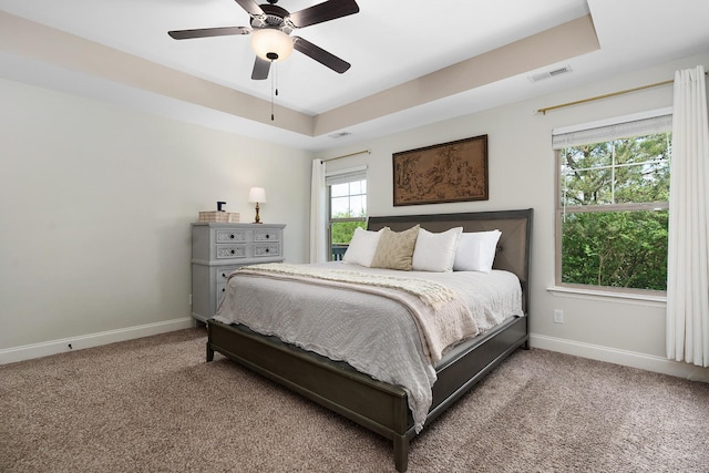 157 Battle Bluff Dr, Rossville, GA 30741 - bedroom featuring visible vents, carpet, baseboards, ceiling fan, and a raised ceiling