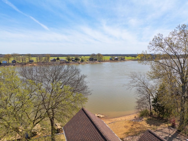 180 Shoreline Ln, Saltillo, TN 38370 - photo 17