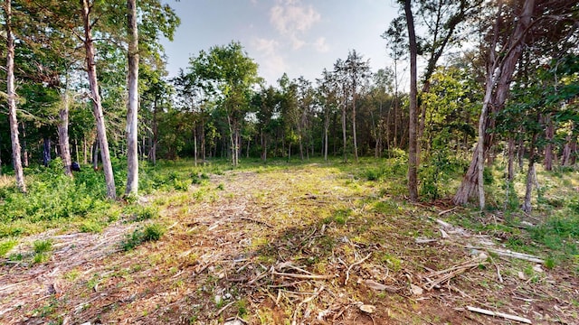 5059 Kedron Rd, Columbia, TN 38401