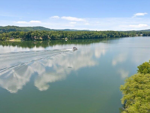 0 Cottonport Rd, Dayton, TN 37321 - photo 6